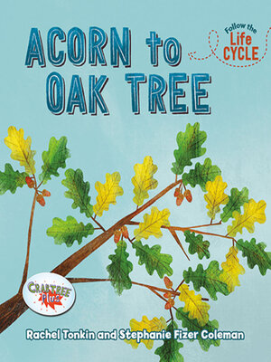 cover image of Acorn to Oak Tree